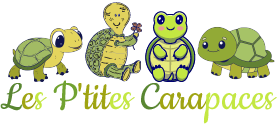 Les P'tites Carapaces -logo footer